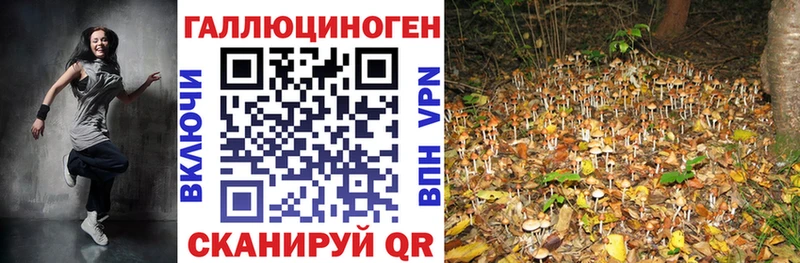 Псилоцибиновые грибы мицелий  Купить  Баймак 